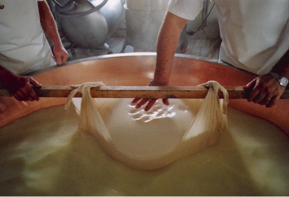 Parmigiano Reggiano DOP: Lavorazione